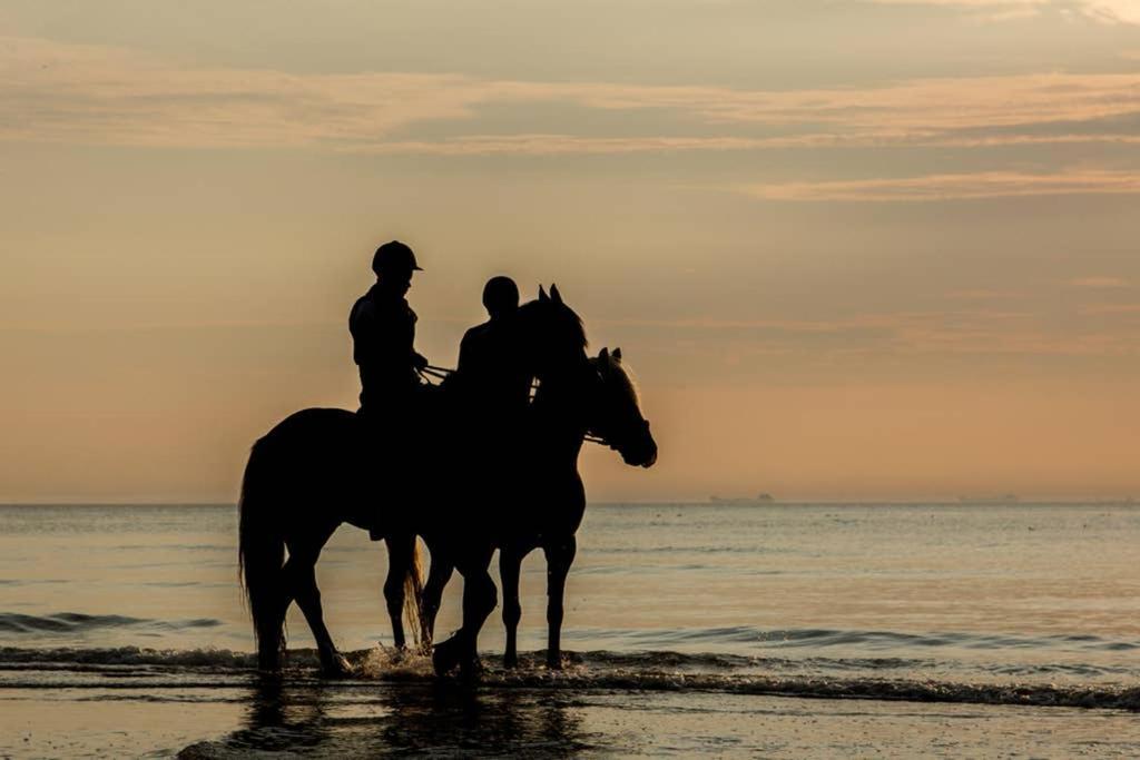 Hoekje Up Katwijk aan Zee Kültér fotó