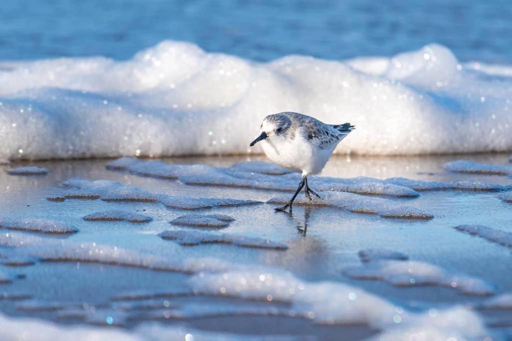 Hoekje Up Katwijk aan Zee Kültér fotó